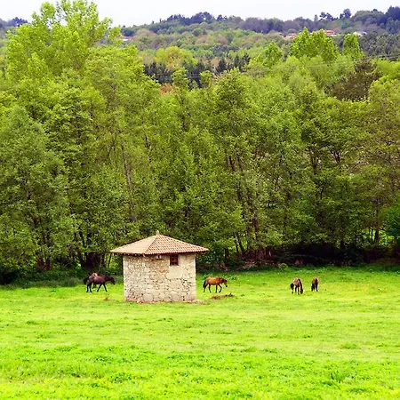Hétvégi ház Casa De Maside